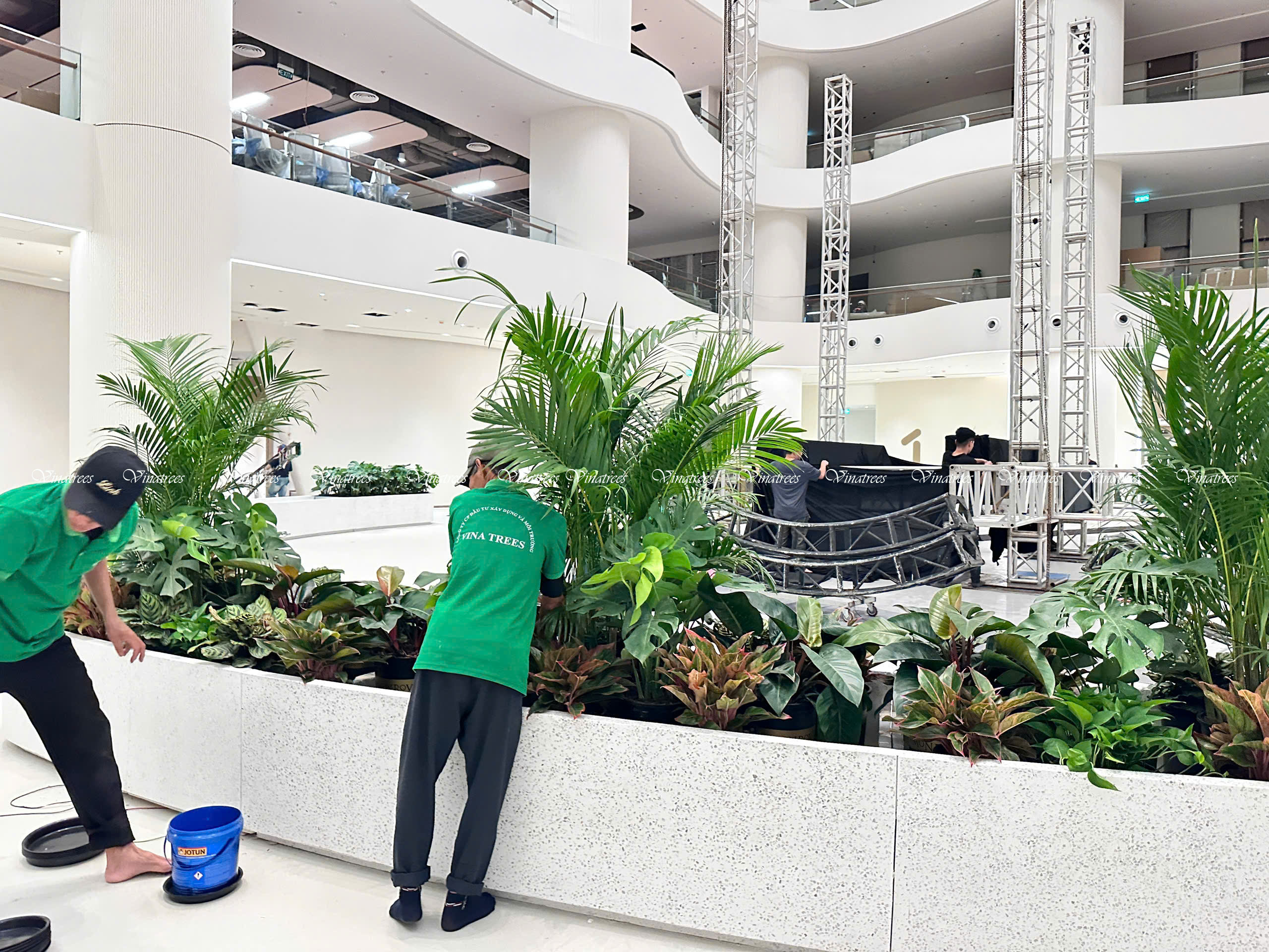 Cây xanh Hà Nội Vinatrees tạo nên những tiểu cảnh rừng nhiệt đới thu nhỏ
